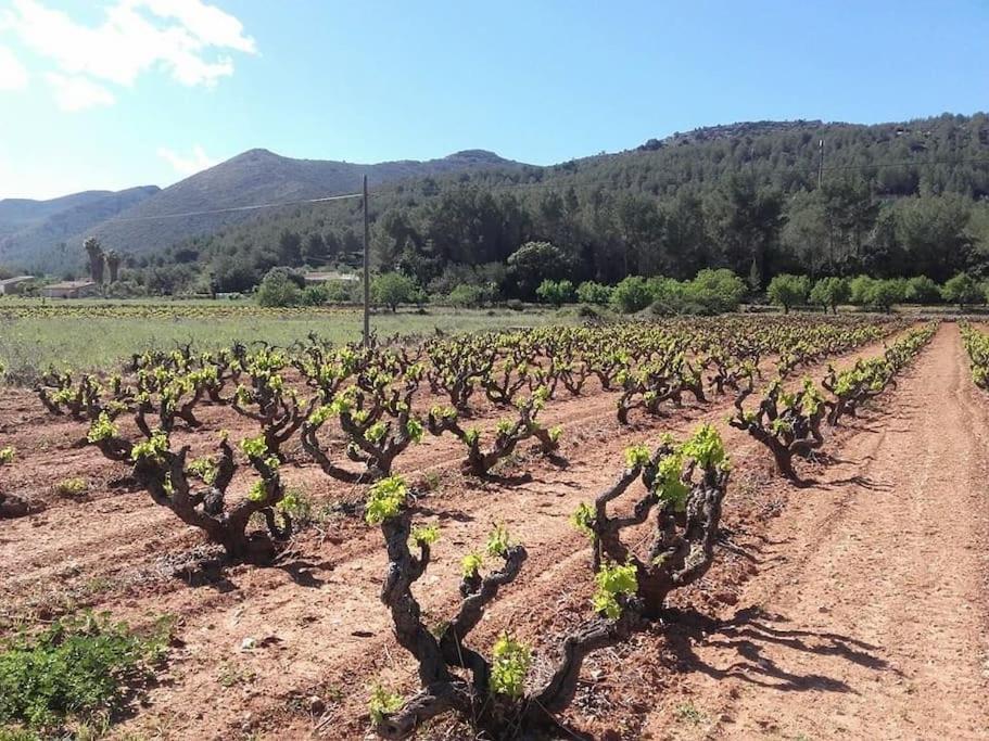 One Bed Apartment Overlooking Jalon Valley, Costa Blanca อัลคาลาลี ภายนอก รูปภาพ