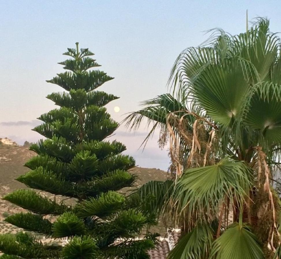 One Bed Apartment Overlooking Jalon Valley, Costa Blanca อัลคาลาลี ภายนอก รูปภาพ